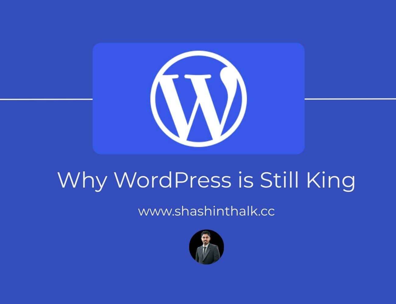 Need a pro WordPress website?